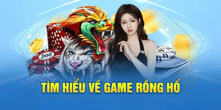Cách Tham Gia Dragon Tiger Nhà Cái MOTO88 Đơn Giản Nhất